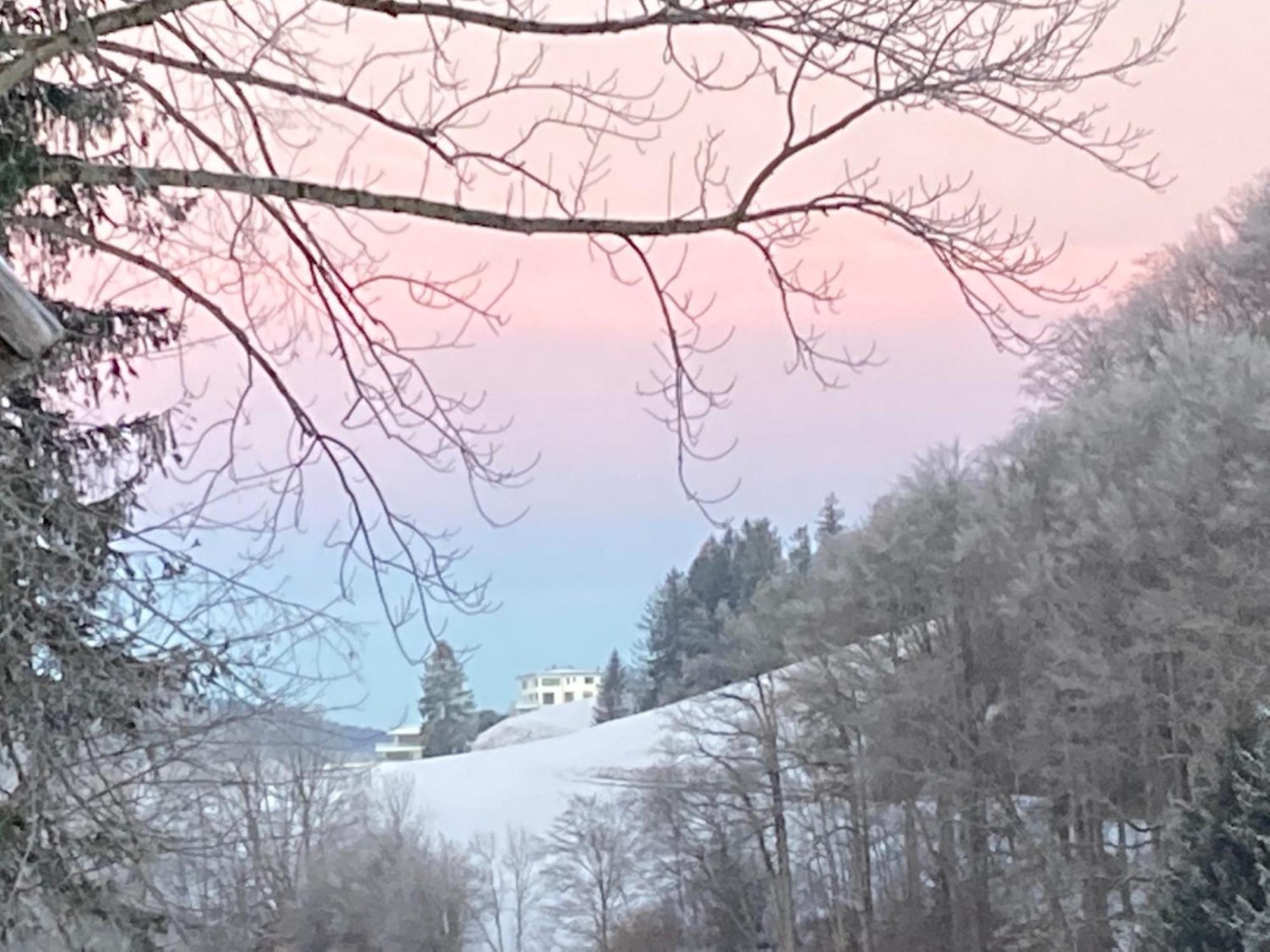Villa Bio Gesundheitshof Daxinger Mondsee Esterno foto